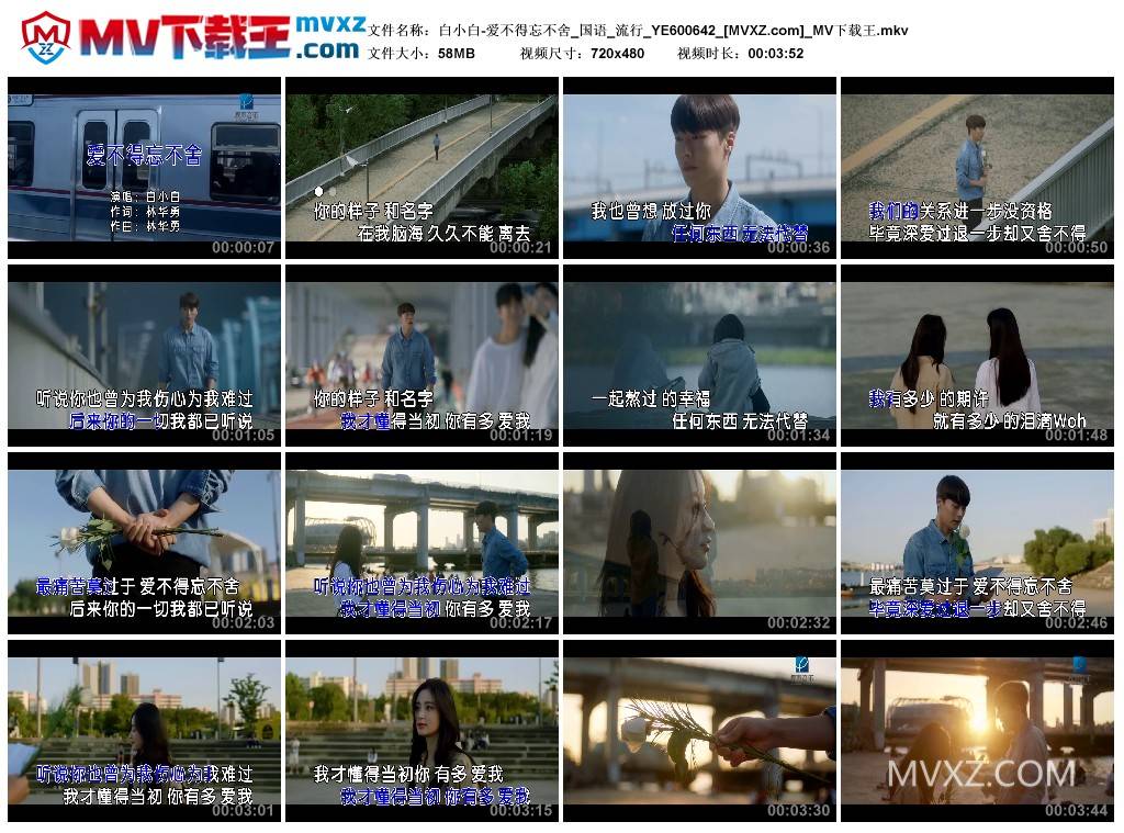 白小白-爱不得忘不舍_国语_流行_YE600642